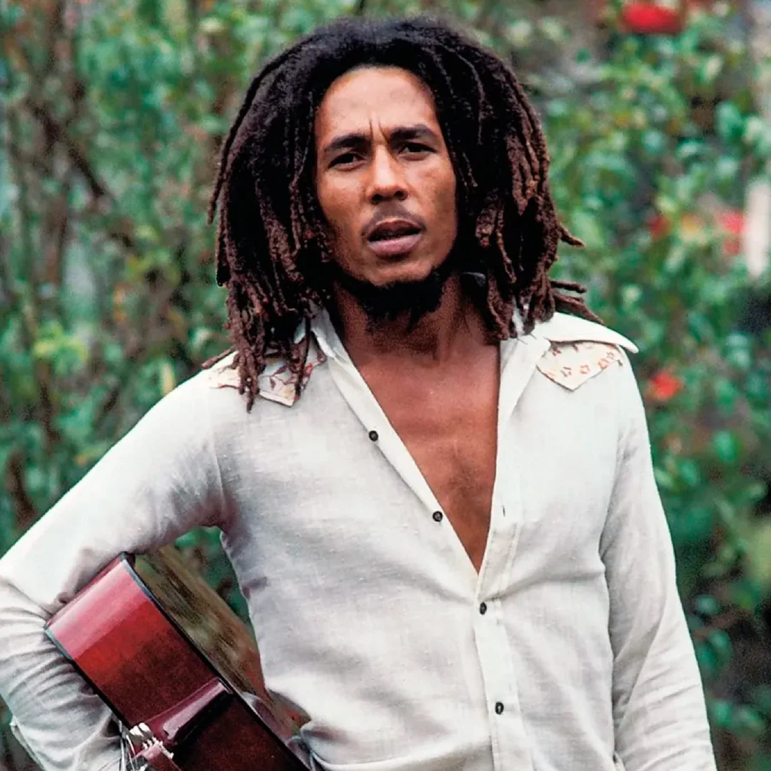El legado en la pantalla Bob Marley y las películas biográficas musicales más taquilleras 